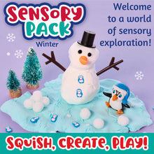 Load image into Gallery viewer, Sensory Pack Winter and Holiday Play Kit for Children