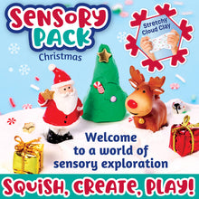 Load image into Gallery viewer, Sensory Pack Christmas Holiday Play Kit for Children