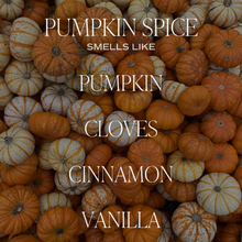 Load image into Gallery viewer, Pumpkin Spice 11 oz Soy Candle