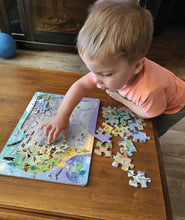 Load image into Gallery viewer, USA Map 35pc Tray Puzzle