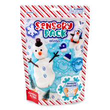 Load image into Gallery viewer, Sensory Pack Winter and Holiday Play Kit for Children