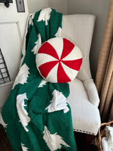 Load image into Gallery viewer, Sherpa Holiday Pillow Assorted
