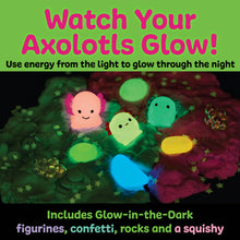 Load image into Gallery viewer, Sensory Pack Axolotl Play Kit for Kids